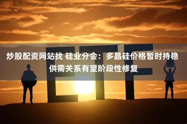 炒股配资网站找 硅业分会：多晶硅价格暂时持稳 供需关系有望阶段性修复